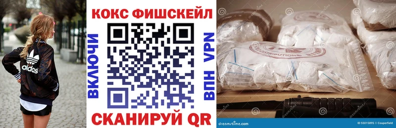 Купить где  Болотное  COCAIN FishScale 