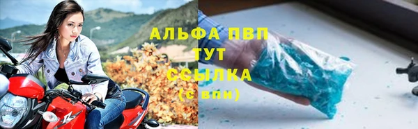экстази Каменногорск