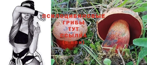 гашик Карталы