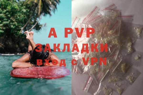 экстази Каменногорск