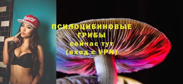 гашик Карталы